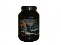 Protein100, 750g.JPG